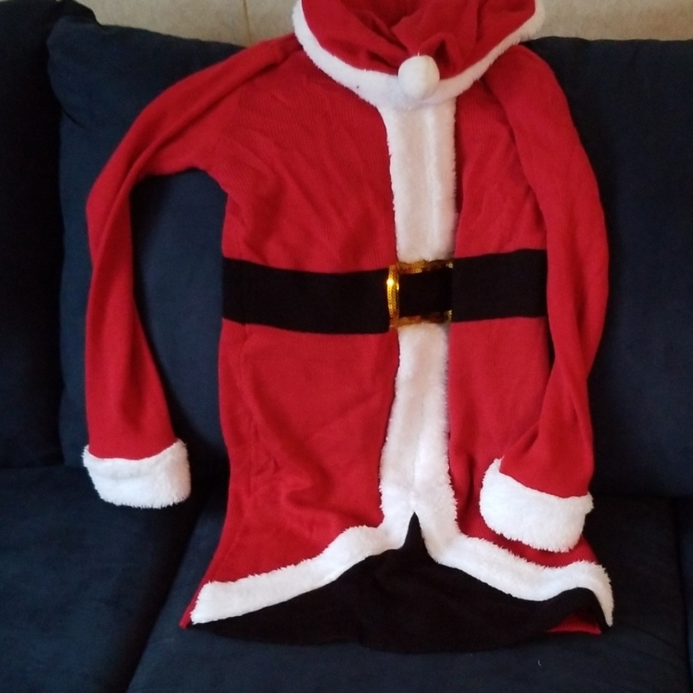 Mrs clause sweater dress
